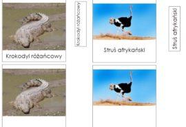 Zabezpieczone: Dzień 2